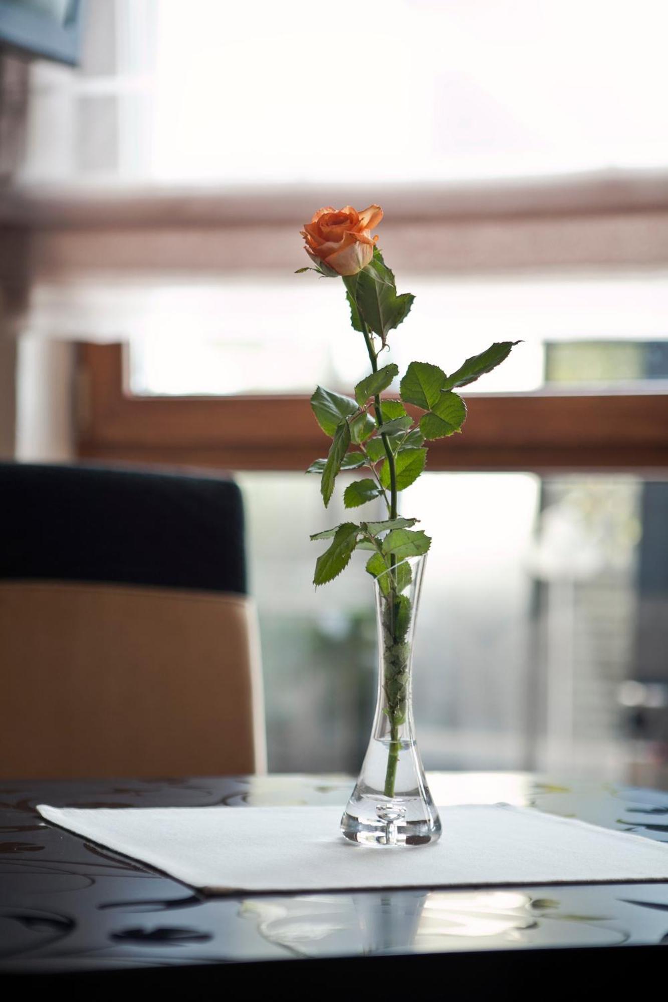 M Hotel Sosnowiec Ngoại thất bức ảnh